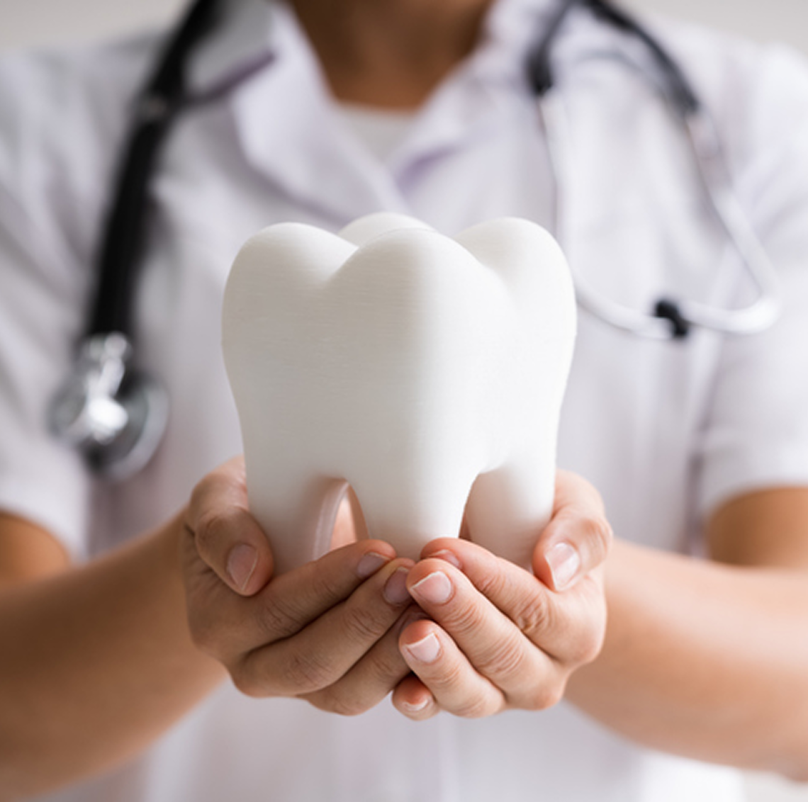 Dentist displaying large tooth sculpture