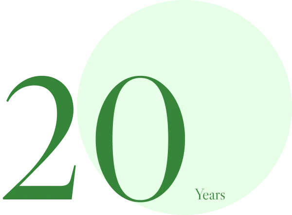 20th anniversary celebration graphic