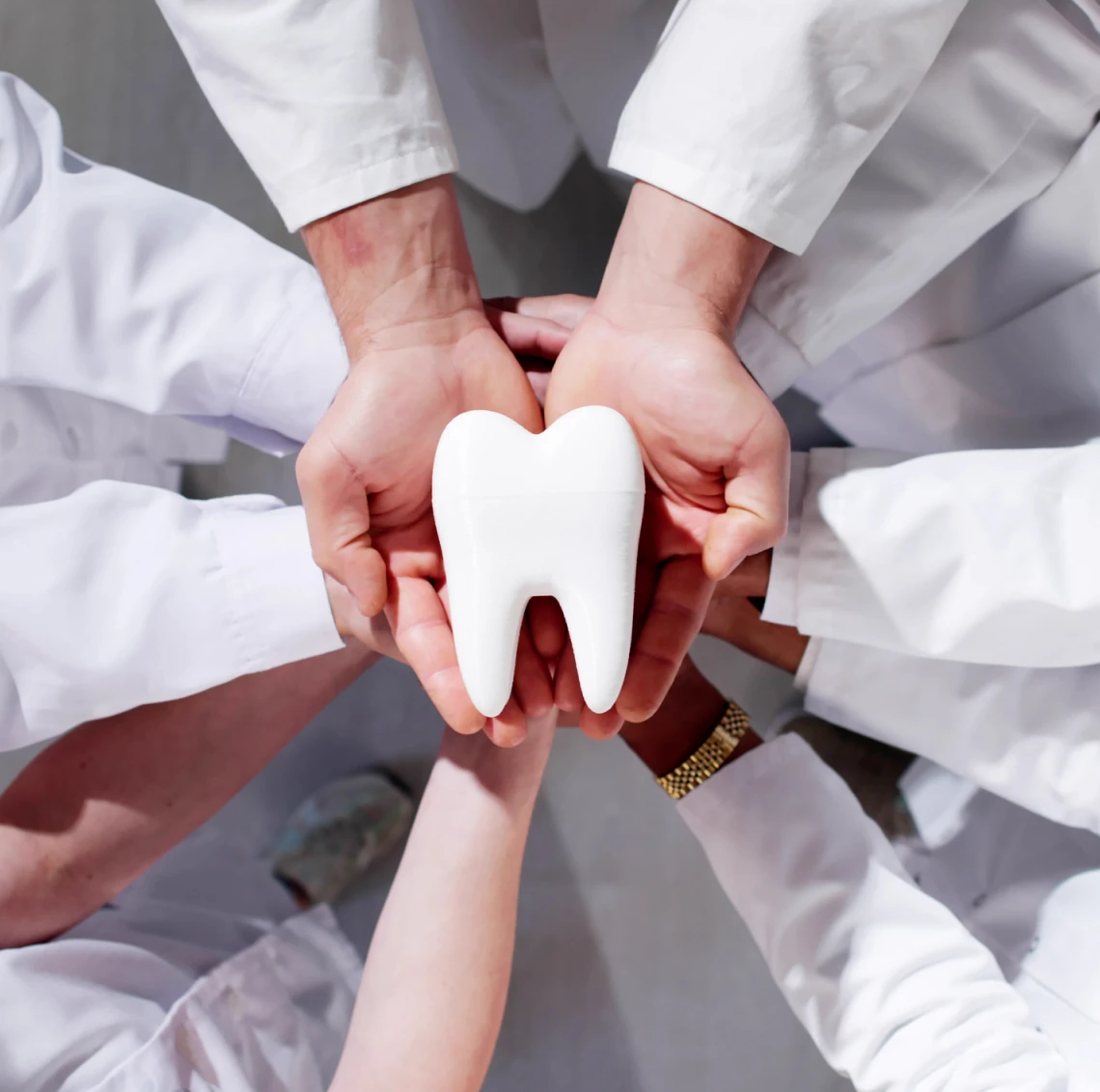 Group of dentists with tooth model